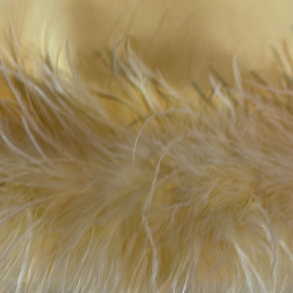 Yellow Feather Trim Sleeveless Top - Picture 4 of 5
